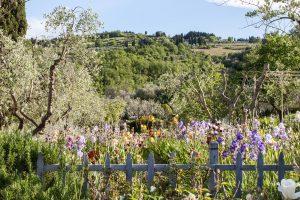 Villa Bordoni in spring, Chianti Classico