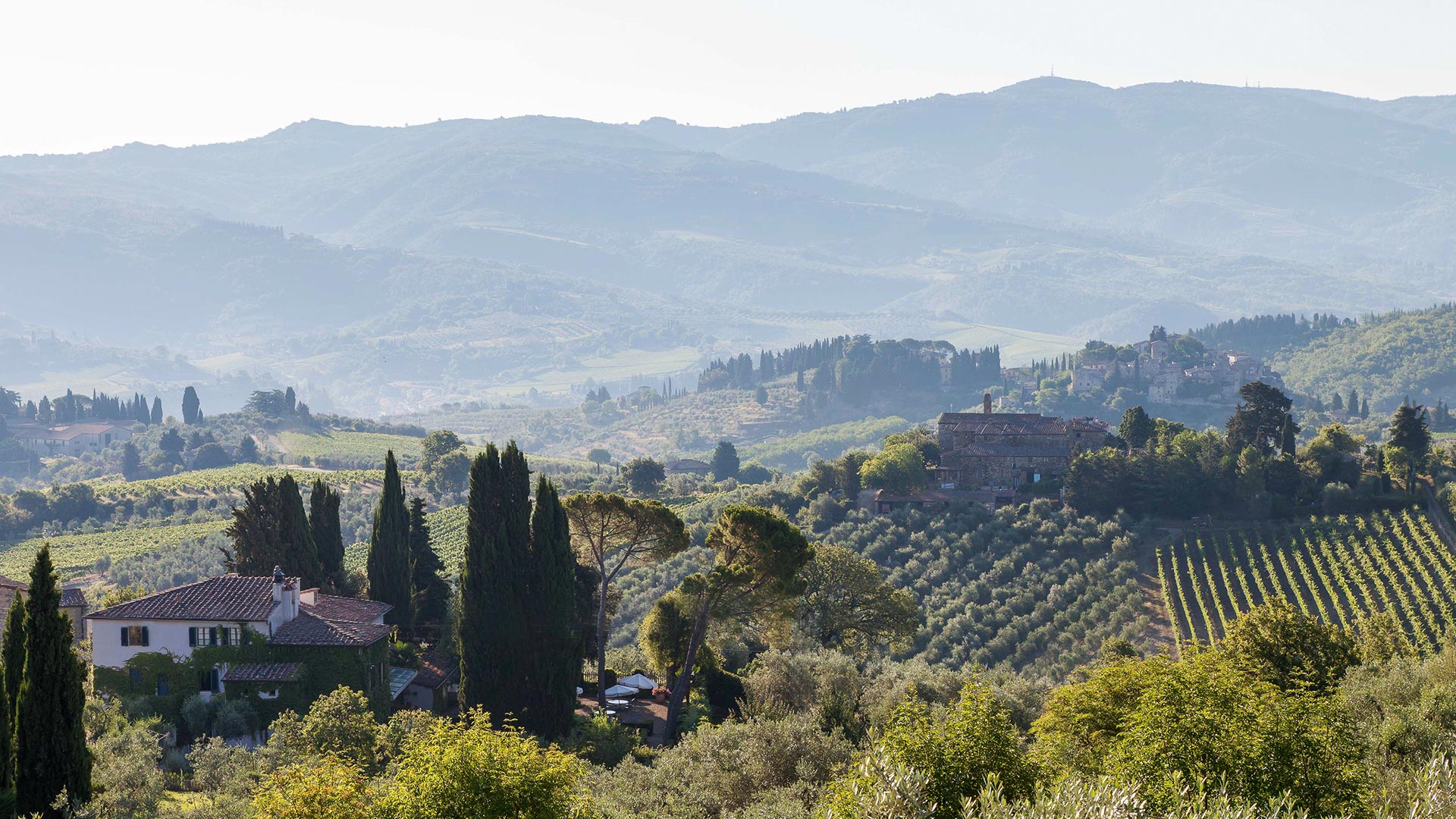 Villa Bordoni estate amid Chianti Classico vineyards in summer